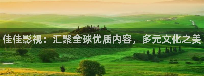 亚洲影院久久精品