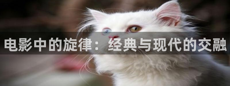 国产精品影院久久久久久久